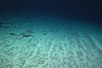 View of Ocean Sediments